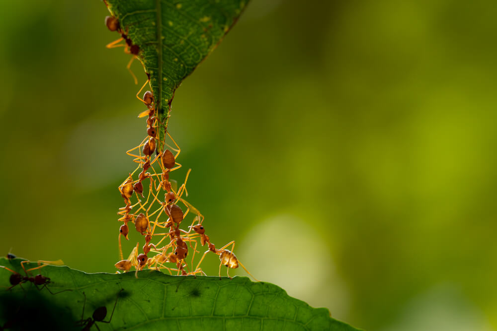 Neurochirurgo Tumori Cerebrali