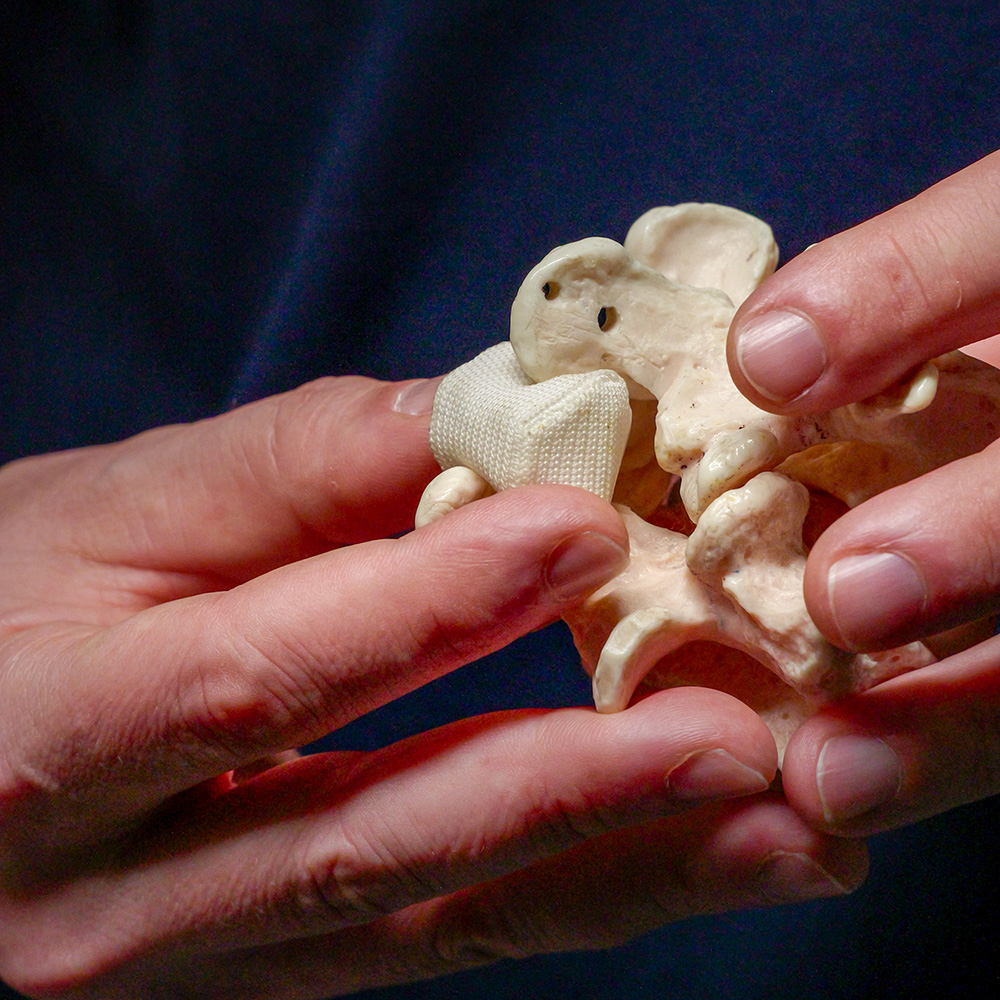 particolare-sede-piacenza